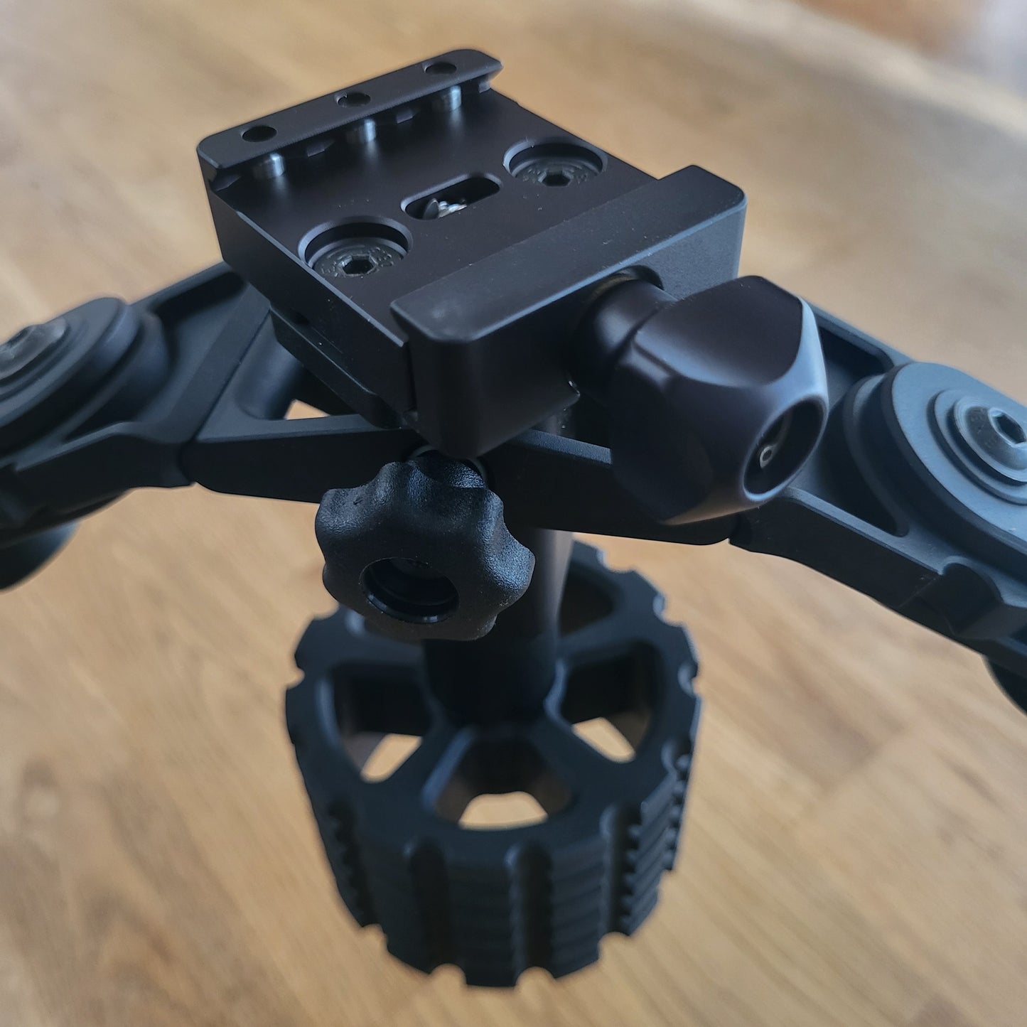 Bears F-Class Klappzweibein Arca